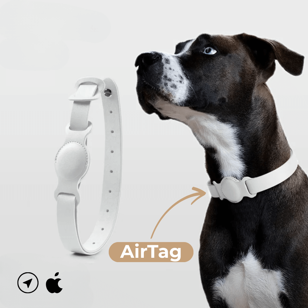 SafeTrack Lederhalsband – mit AirTag-Fach