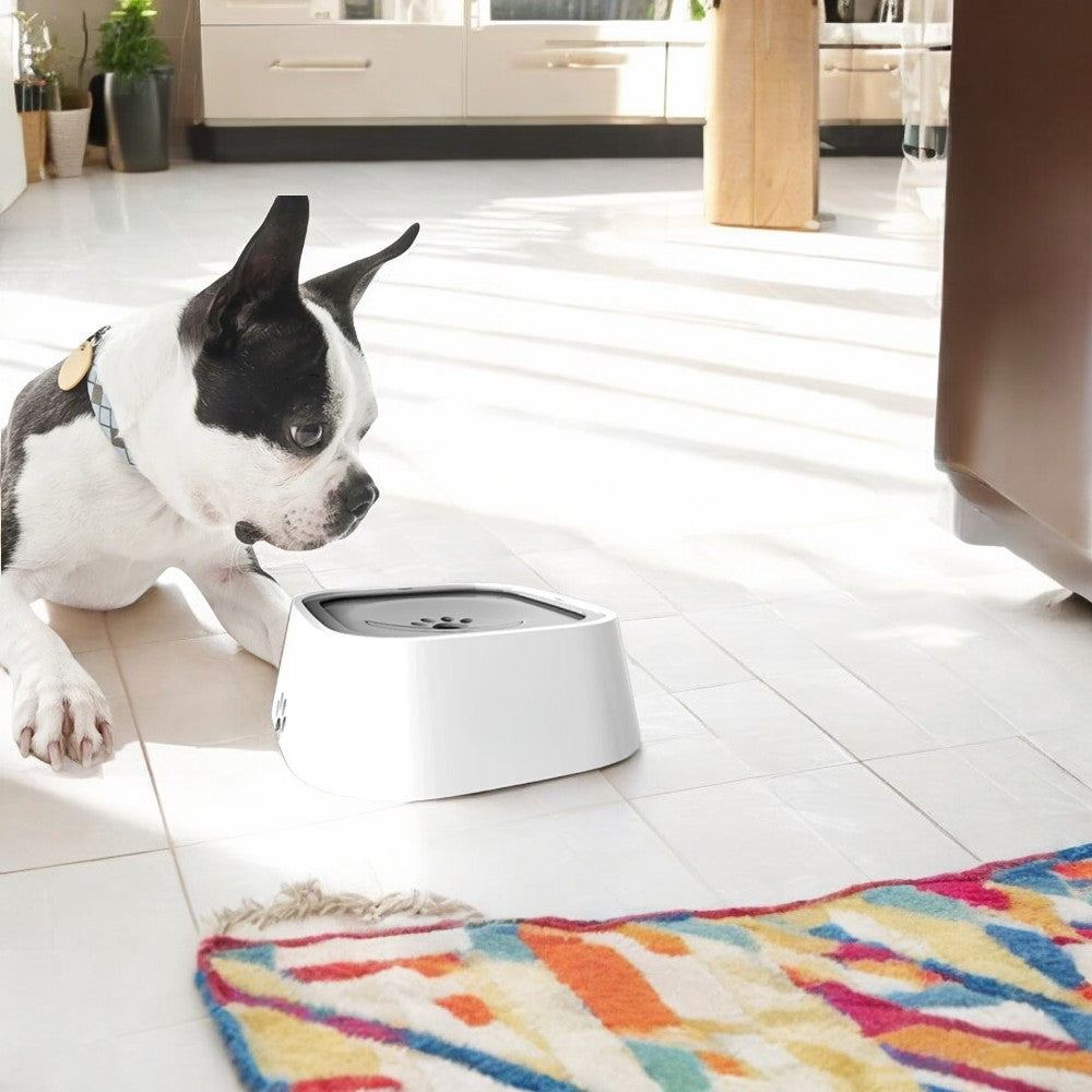 Emmalove - AntiSplash Hundenapf