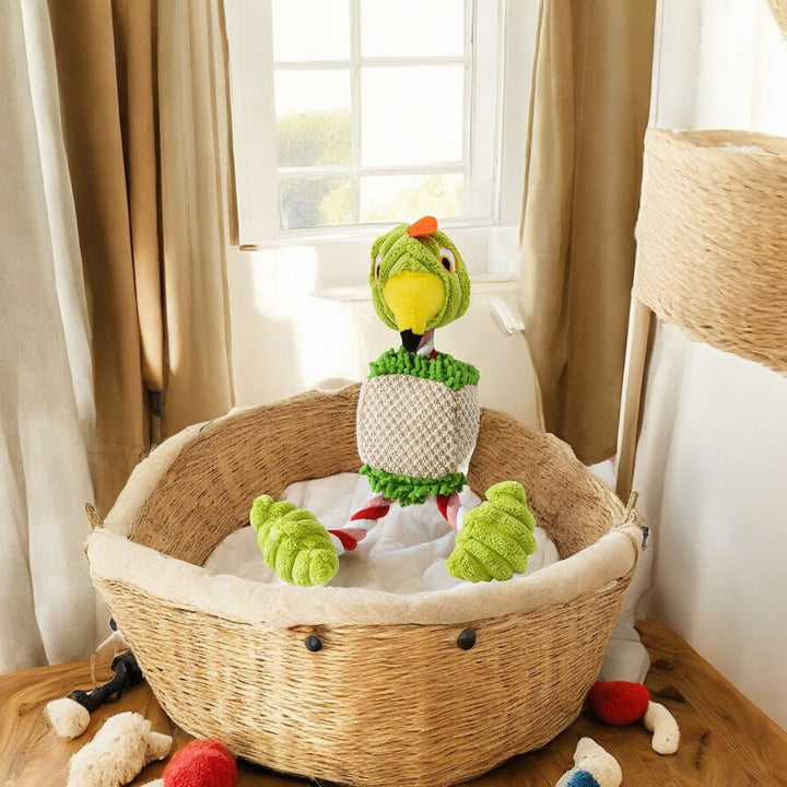 Emmalove - Papagei Peter