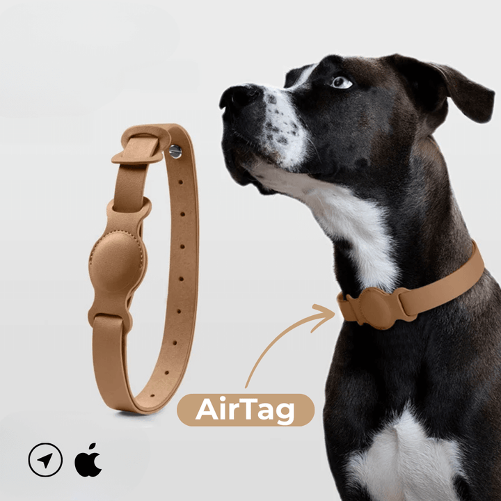 SafeTrack Lederhalsband – mit AirTag-Fach