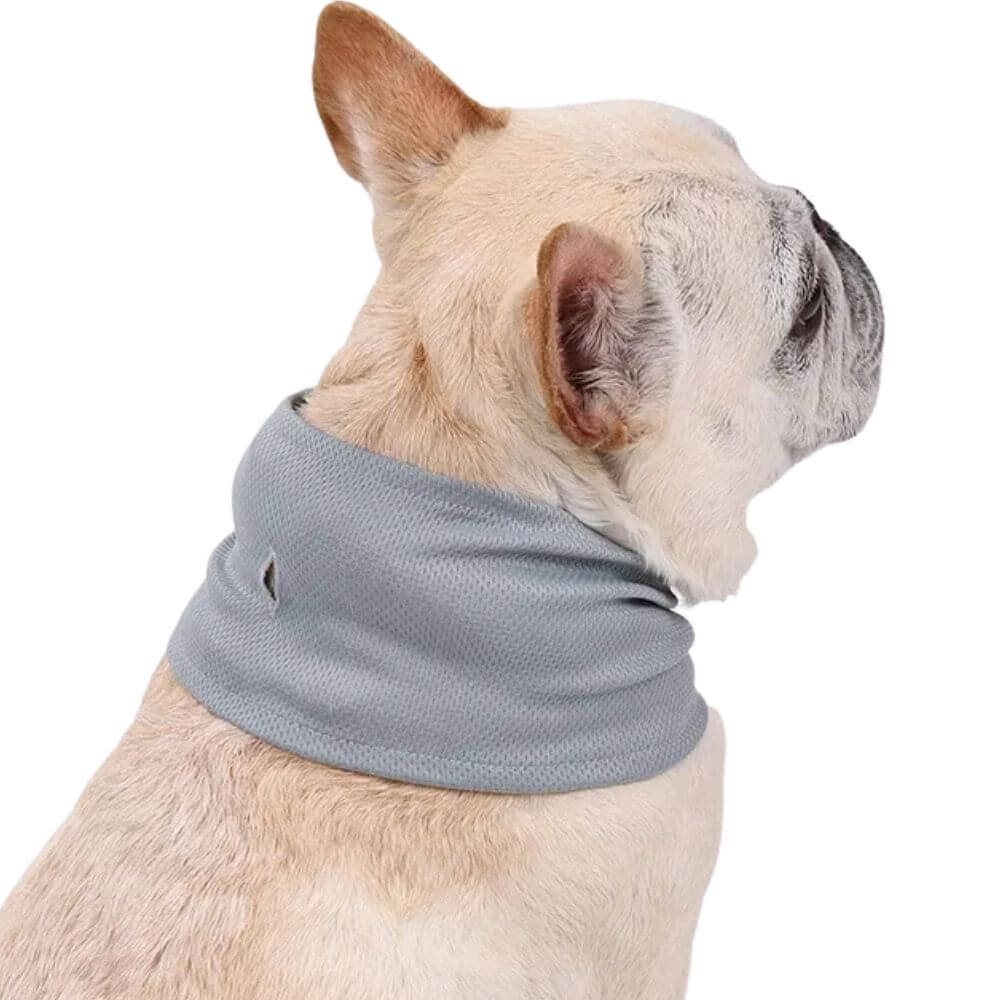 Emmalove - Kühlhalsband Cool Comfort ™