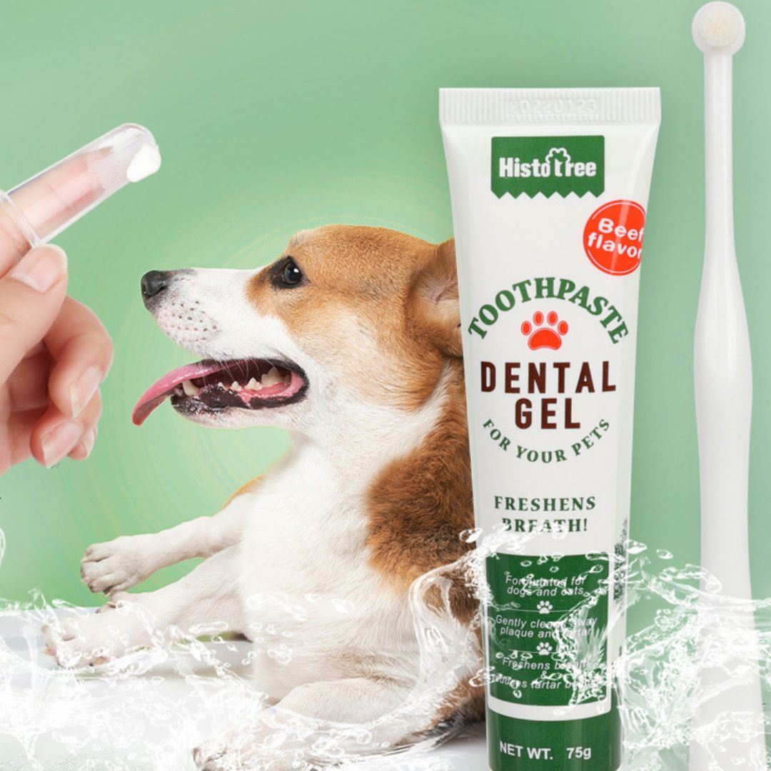 Emmalove - Zahnpflege Kit