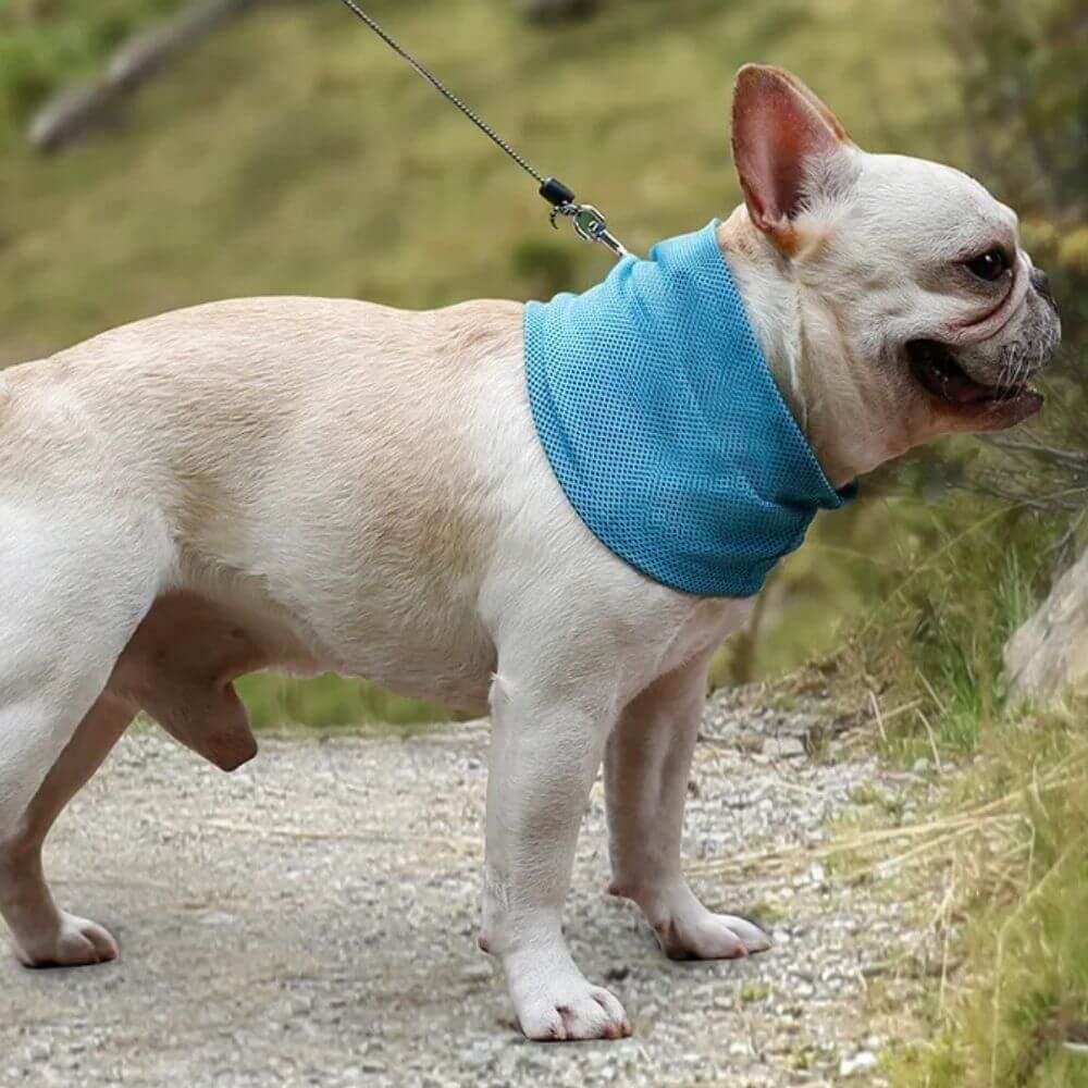 Emmalove - Kühlhalsband Cool Comfort ™