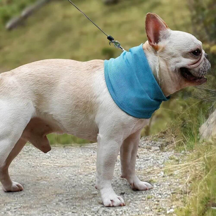 Emmalove - Kühlhalsband Cool Comfort ™