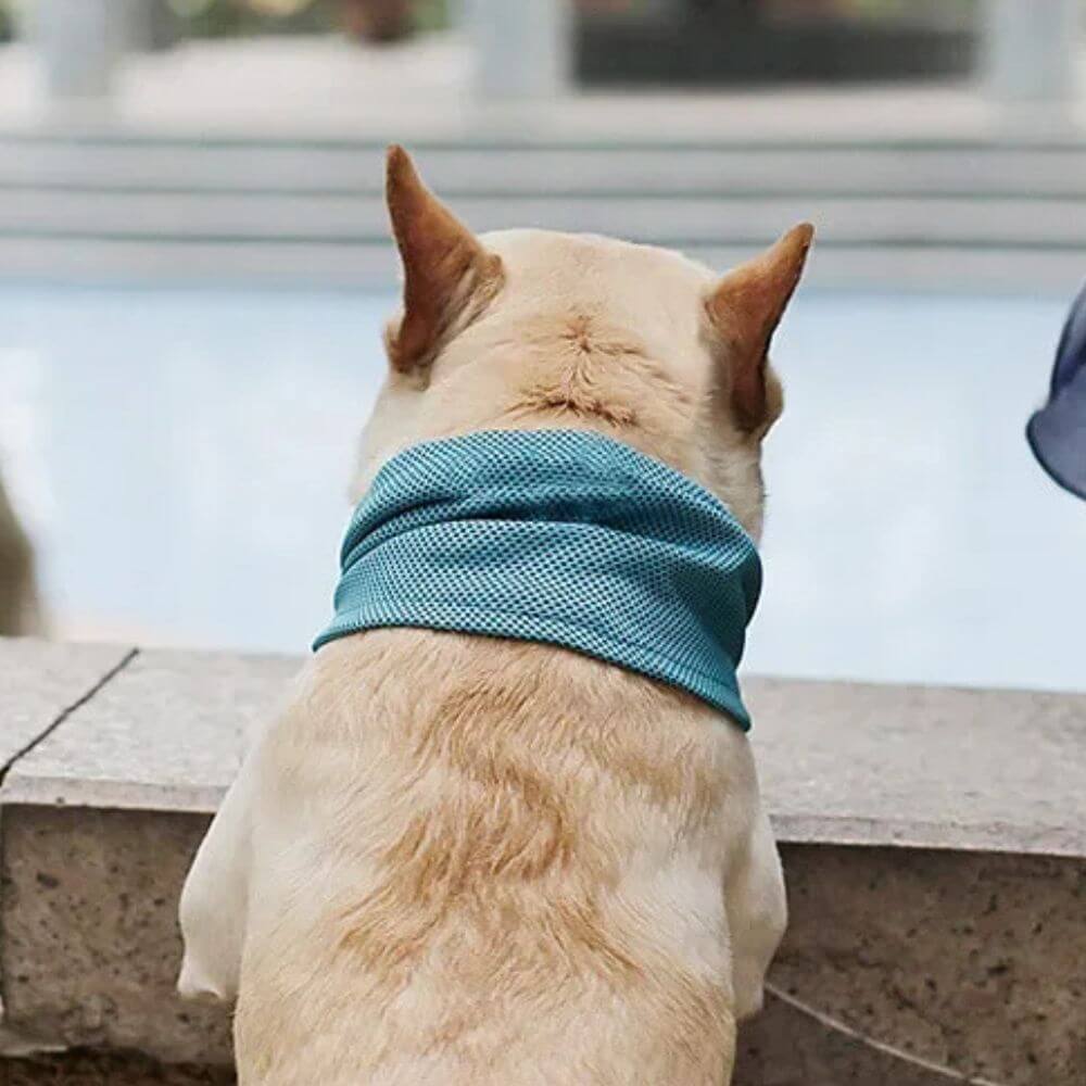 Emmalove - Kühlhalsband Cool Comfort ™