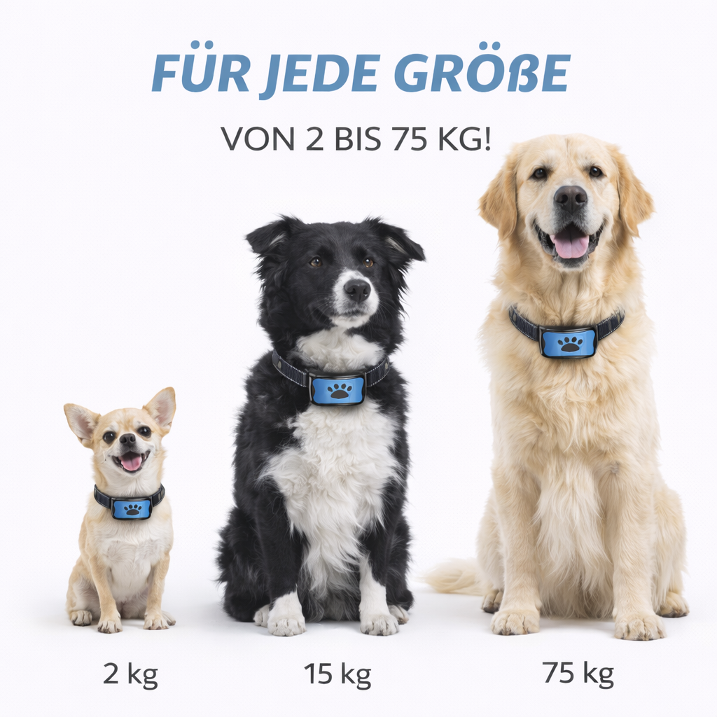 Emmalove - Collier anti-aboiement respectueux des animaux