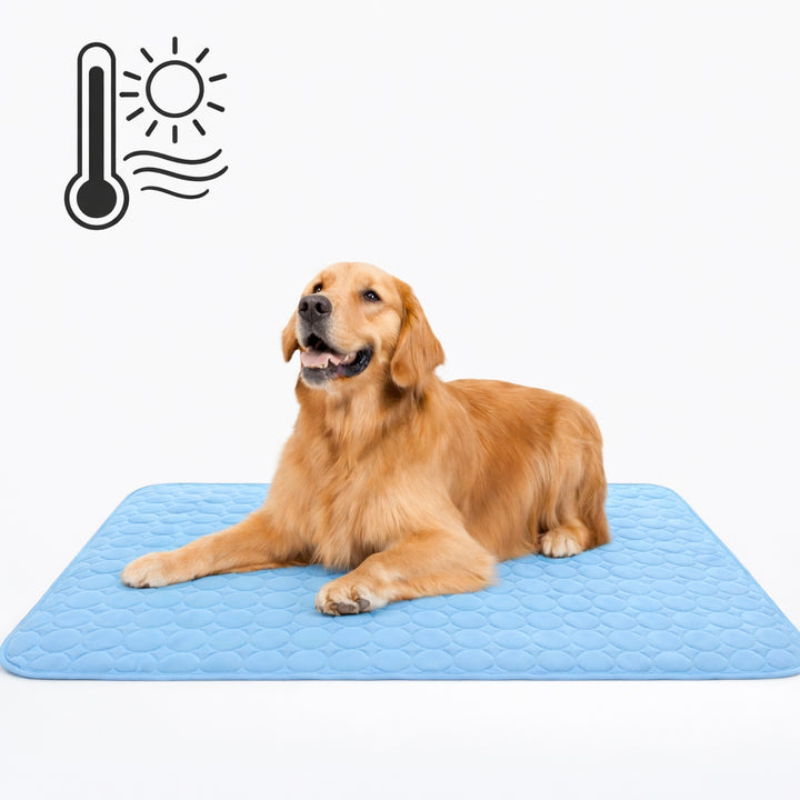 color-all