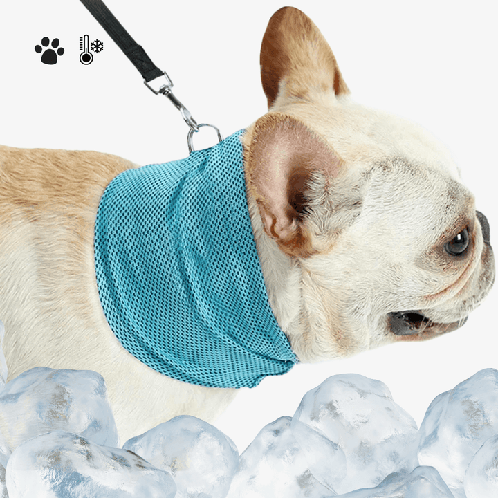 Emmalove - Kühlhalsband Cool Comfort ™