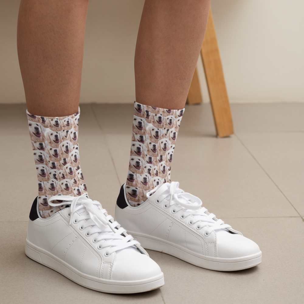 Personalisierte Hundesocken - WauWau