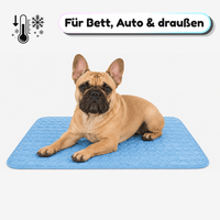 Kühlmatte Hund – Sommerleicht durchatmen