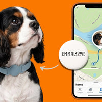 Hunde GPS Tracker (Abofrei) ohne Halsband