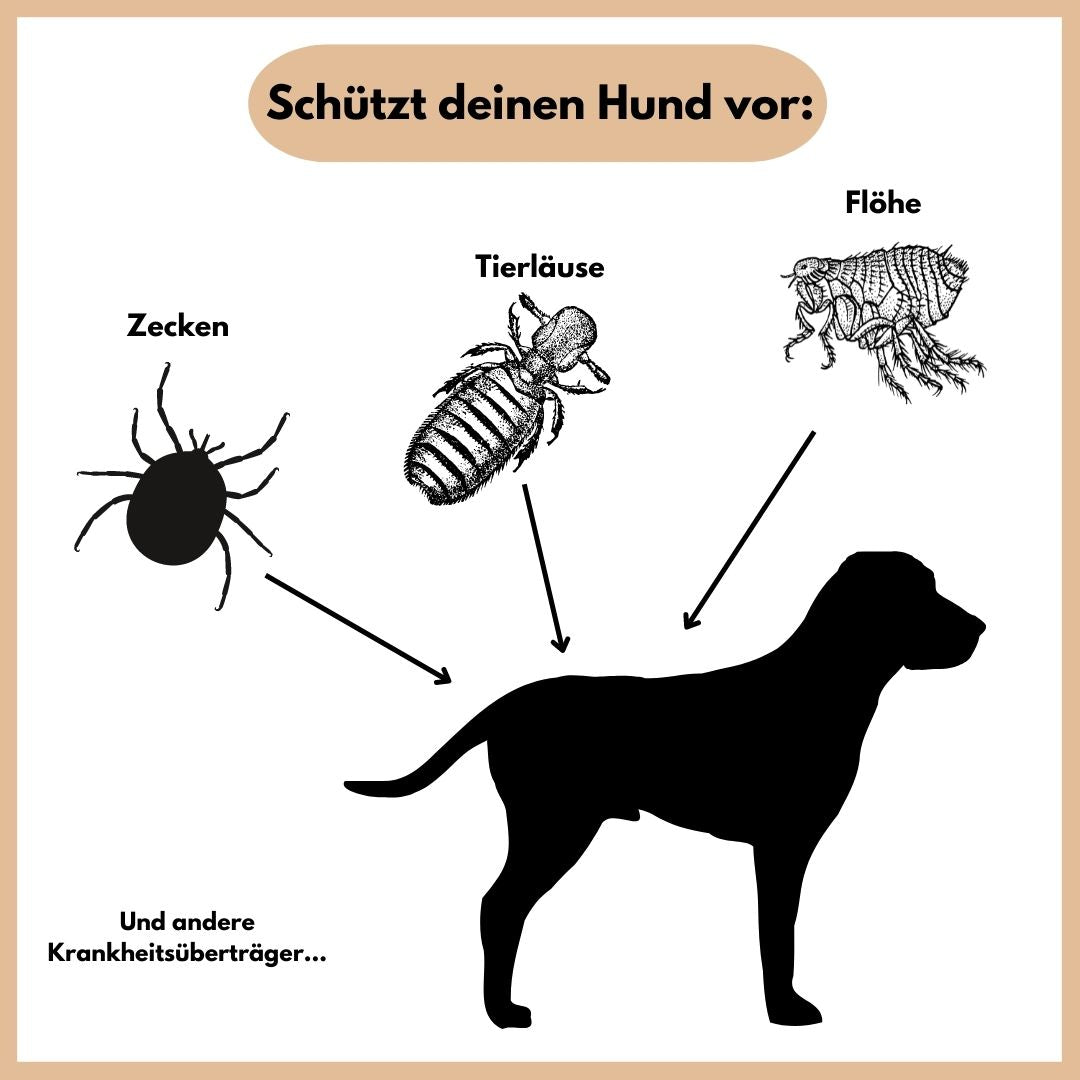Emmalove - Floh- und Zeckenhalsband